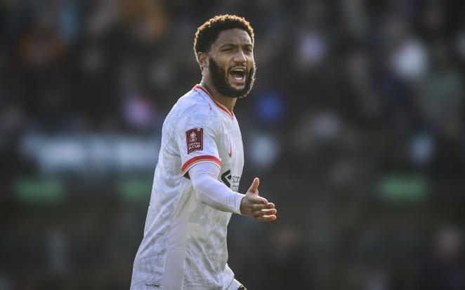 手在世界高 手在世界高